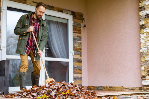Best Electronics Removal Services  in Fruitland, MD